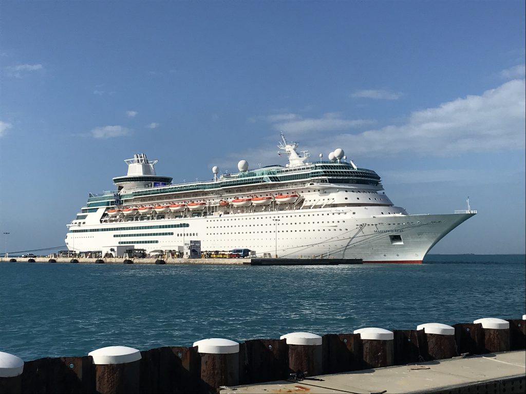 image of new cruise ship