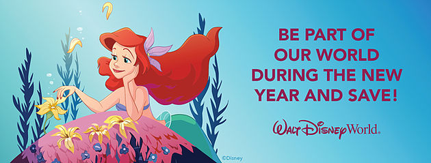 Ariel Be a Part of our World and Save poster