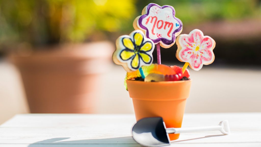 Candies for mom in mini flower pot