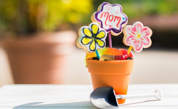 Candies for mom in mini flower pot