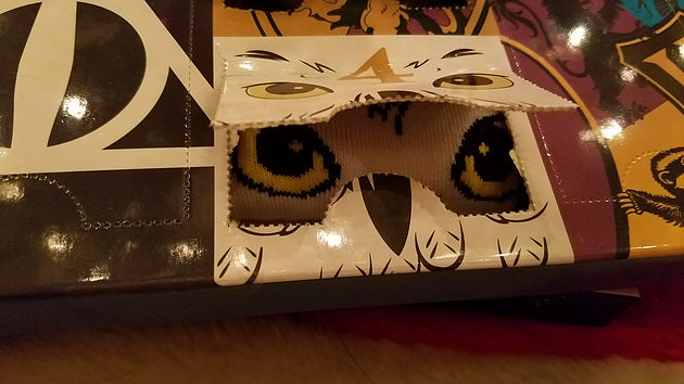 Day 4 Harry Potter Hedwig socks box cover opened