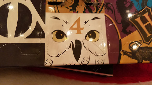 Day 4 Harry Potter socks box cover Hedwig image