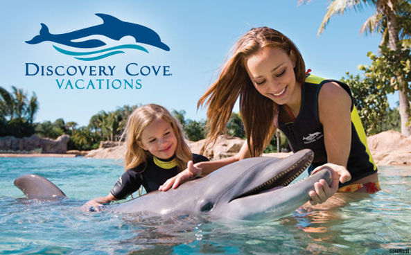 Discovery Cove Vacations poster