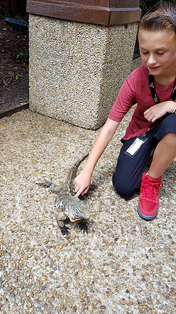 boy petting lizard at Busch Gardens Williamsburg