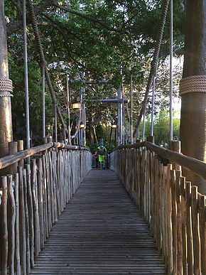 bridge at Animal Kingdom