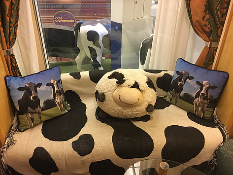 cow memorabilia and cushions in Ben and Jerry's "Sweet" on Royal Caribbean