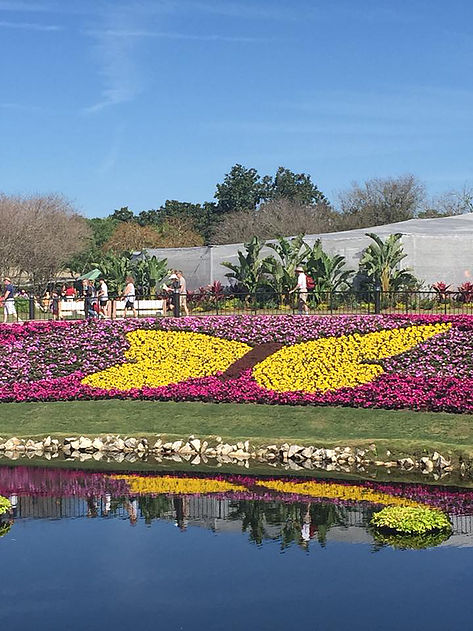 flower beds in the shape of a butterfly at Epcot