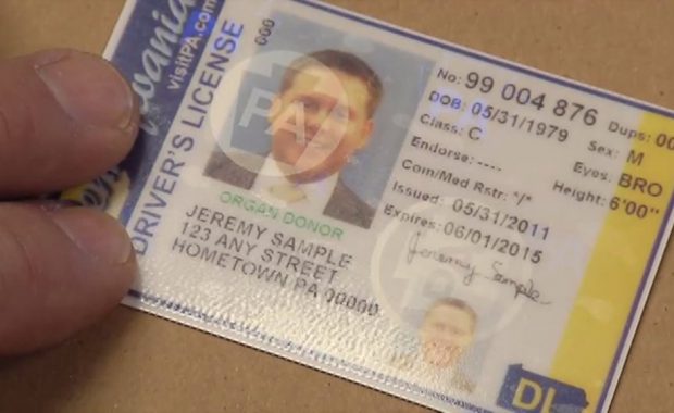 sample PA driver's license