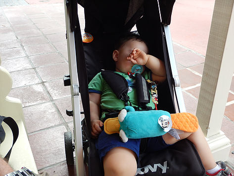 toddler sleeping in stroller