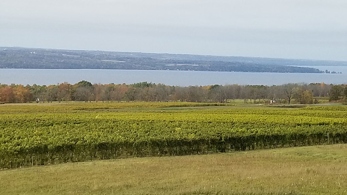 view of lake at Lamoreaux Landing winery