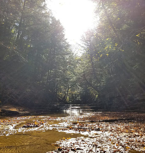 view of sunlight on creek